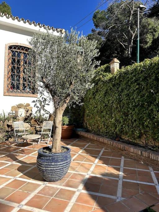 Villa Privada Con Piscina En